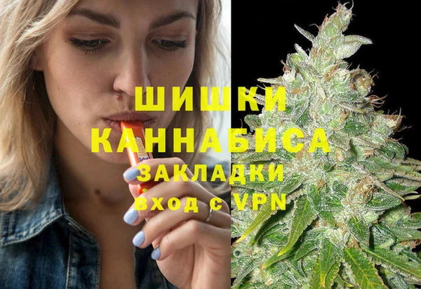 МДПВ Балашиха