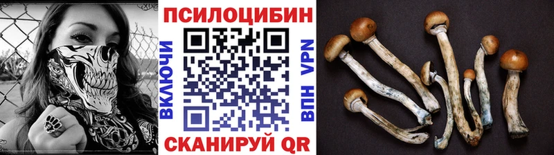 закладки  Подпорожье  Псилоцибиновые грибы Magic Shrooms 